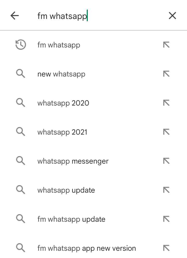 FM WhatsApp Search in Google